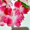 200pcs Hawaiian Necklace Silk Flower Leis for Beach Party Decors